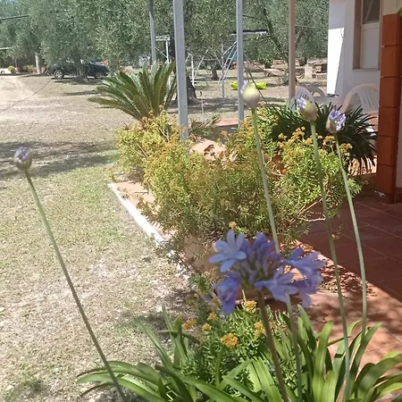 Σπίτι διακοπών Da Luisa *