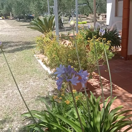 Da Luisa *