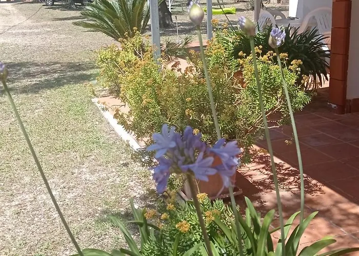 Da Luisa *